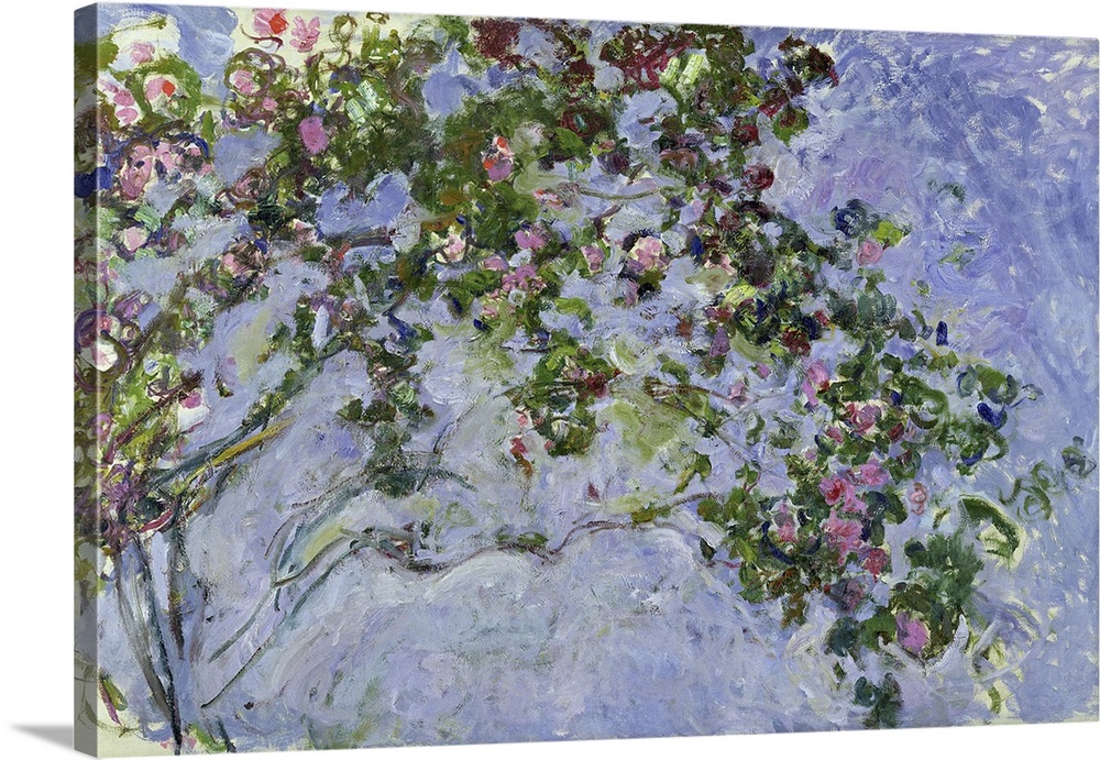 The Roses, 1925-26