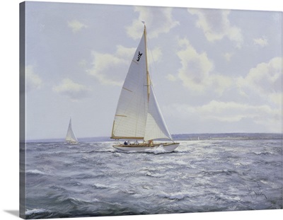 The Shimmering Sea, 2005