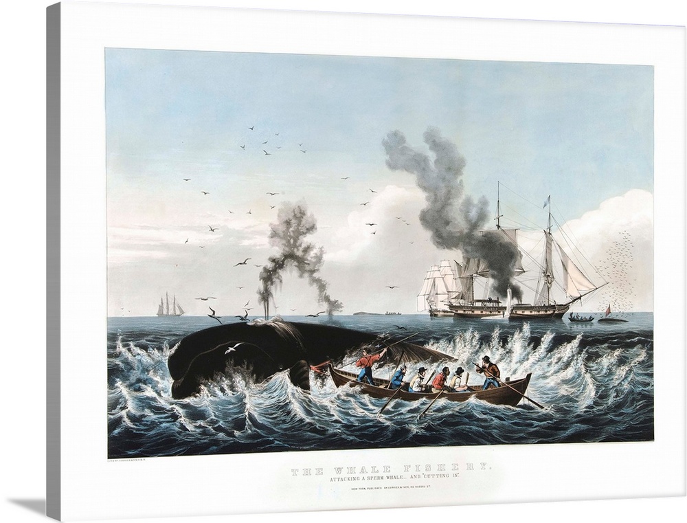 The Whale Fishery: Attacking a Sperm Whale....and 'Cutting In' (originally colour lithograph) by Currier, N. (1813-88) and...