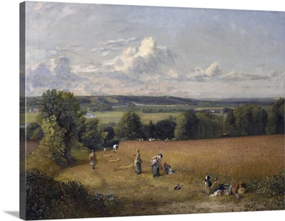 The Wheat Field, 1816