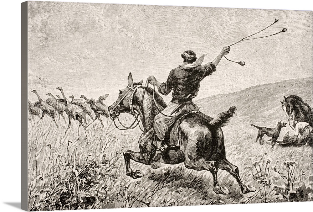 Throwing the Bolas. Engraving from "Journal of Researches," by Charles Darwin, published by Nelson and Sons, 1890.