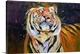 image thumbnail of Tiger (Shaking Head) 1996