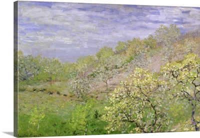 Trees In Blossom