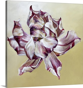 Tulipa, 2013 image thumbnail