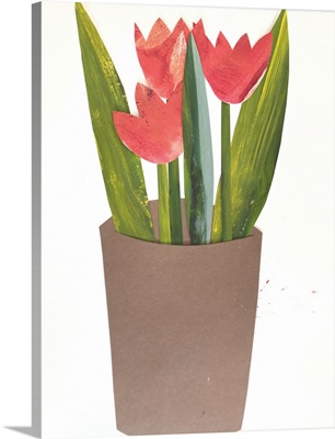 Tulips In A Pot