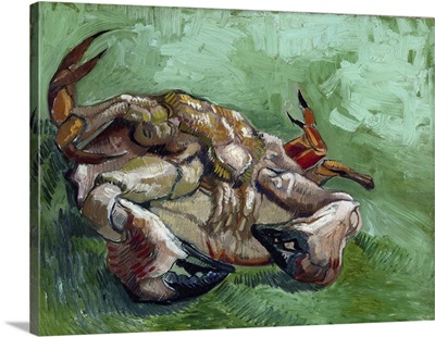 Un Crabe Sur Son Dos (A Crab Lying On His Back), 1889