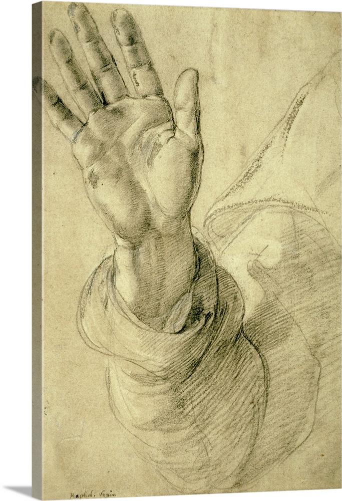 Upraised Right Hand, with Palm Facing Outward: Study for Saint Peter, 1518-20, black chalk, heightened with white chalk an...