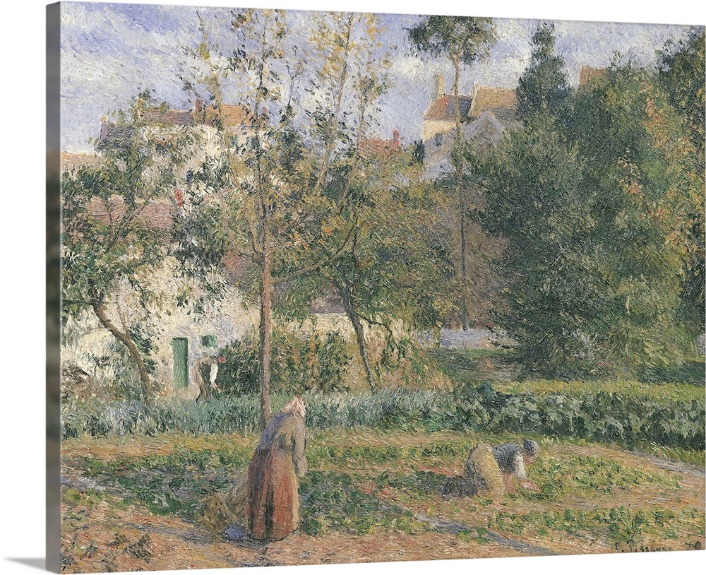 XIR33791 Vegetable Garden at the Hermitage, Pontoise, 1879 (oil on canvas)  by Pissarro, Camille (1831-1903); 55x65.5 cm; ...