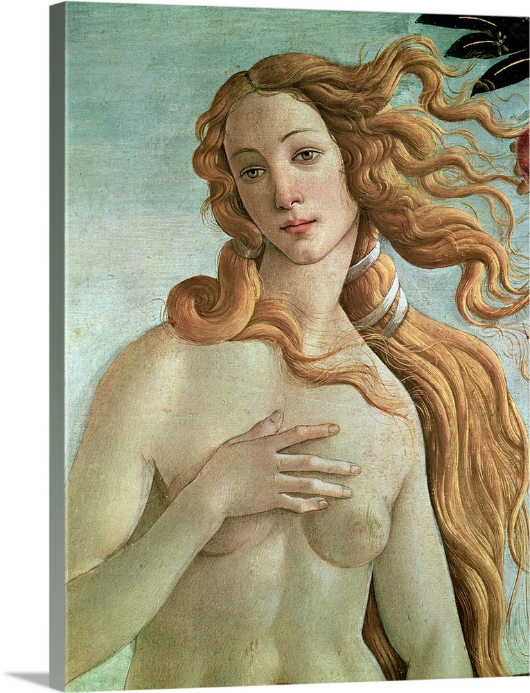 Venus, detail from The Birth of Venus, c.1485
