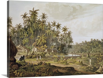 View near Point du Galle, Ceylon, engraved by Daniel Havell (1785-1826)