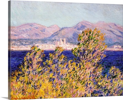 View of the Cap d'Antibes with the Mistral Blowing, 1888