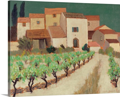 Vineyard, Provence