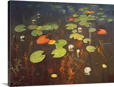 Water Lilies 1895