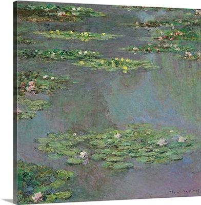 Water Lilies, 1905