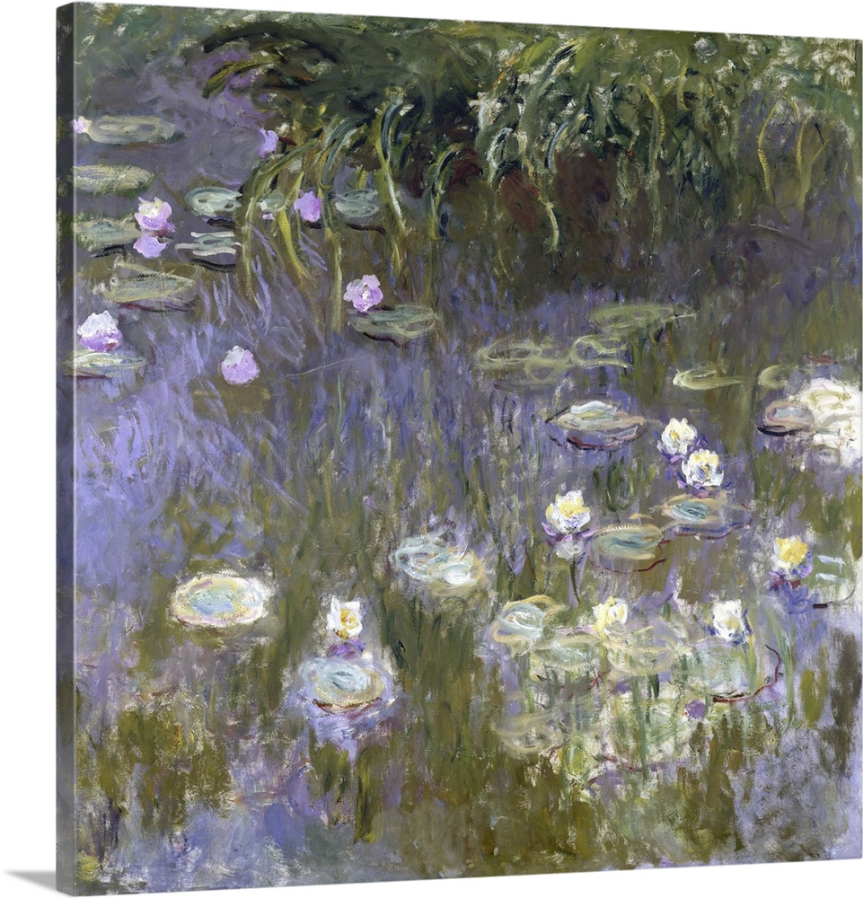 Water Lilies, 1922