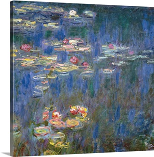 Water Lily Wall Art & Canvas Prints | Water Lily Panoramic Photos ...