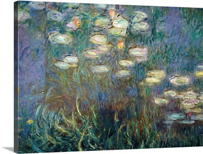 Water Lilies, detail