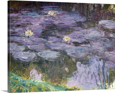 Waterlilies, 1917