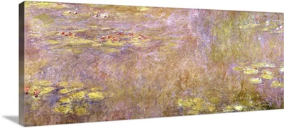 Waterlilies, after 1916