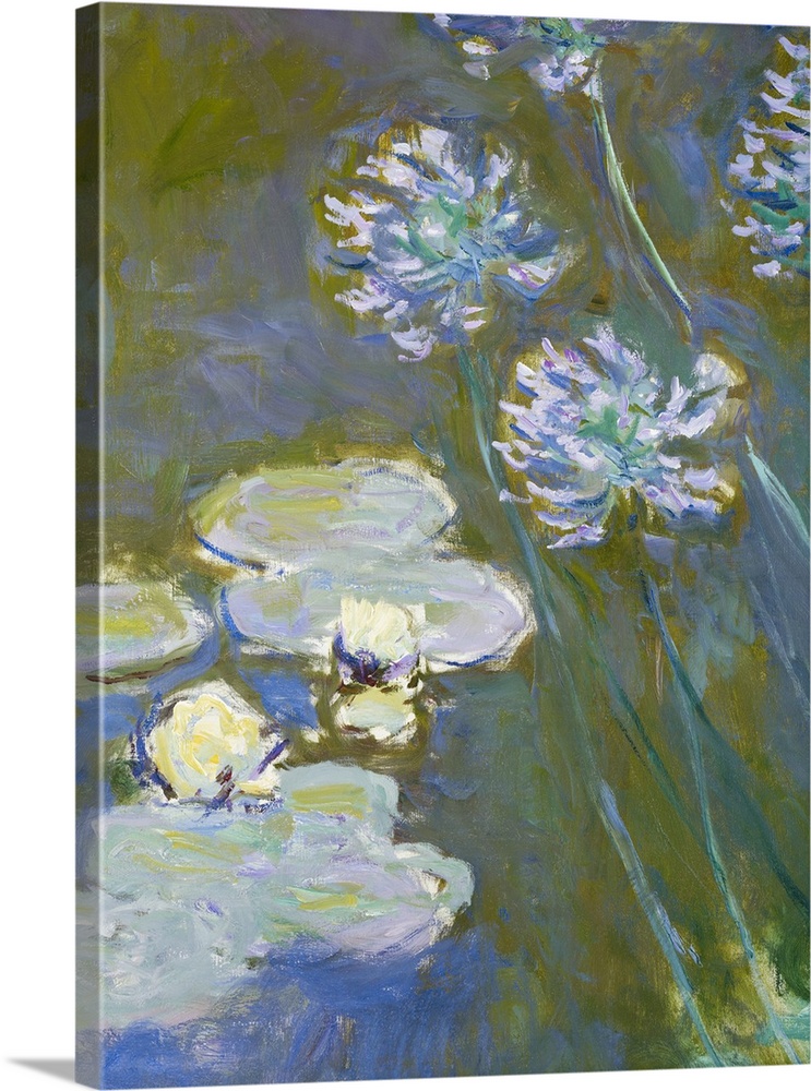 Waterlilies And Agapanthus, 1914-17