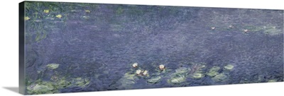 Waterlilies: Morning, 1914 18 (centre left section)