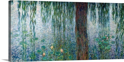 Waterlilies: Morning with Weeping Willows