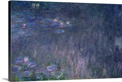 Waterlilies: Reflections of Trees, detail from the left hand side, 1915 26