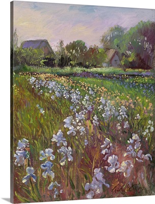 White Irises and Farmstead