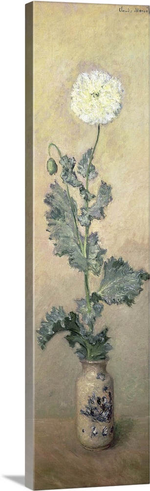 White Poppy, 1883