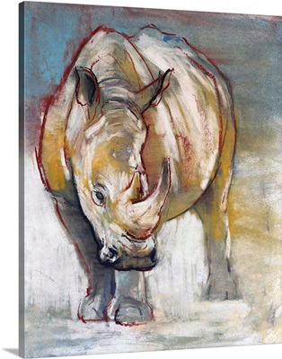 White Rhino, Ol Pejeta, 2018