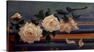 White Roses, 2025