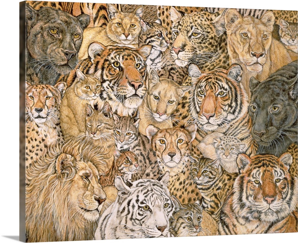 Giant wall art of paintings of various wild cats in a collage style.