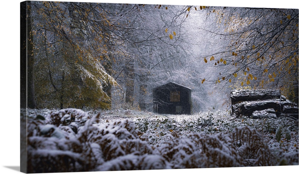 Winter Blue Hour, 2024