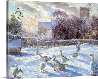 Winter Geese in Church Meadow