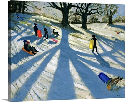 Winter Tree, Snow Sledgers, Calke Abbey, Derby