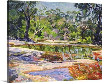 Wirreanda Creek, New South Wales, Australia