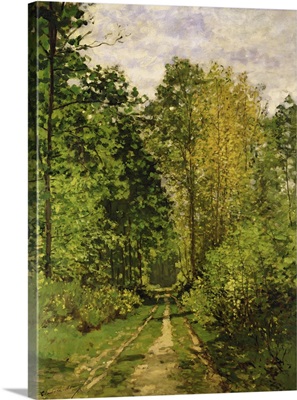 Wooded Path, 1865