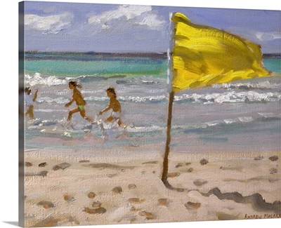 Yellow Flag, Barbados, 2010