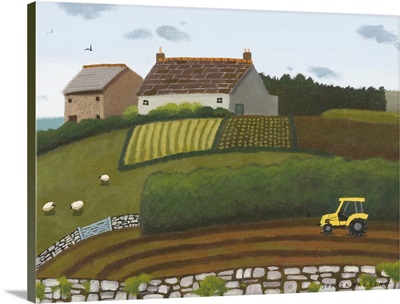 Yellow Tractor And Sheep