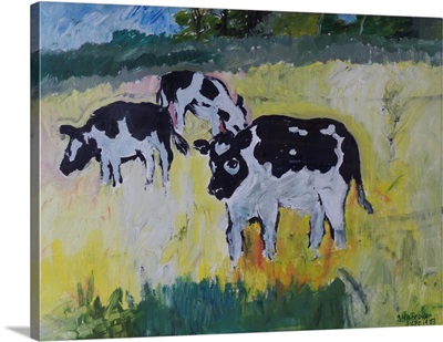 Young Bullocks In A Meadow, 1982
