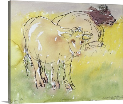 Young Bullocks In The Meadow, 1983