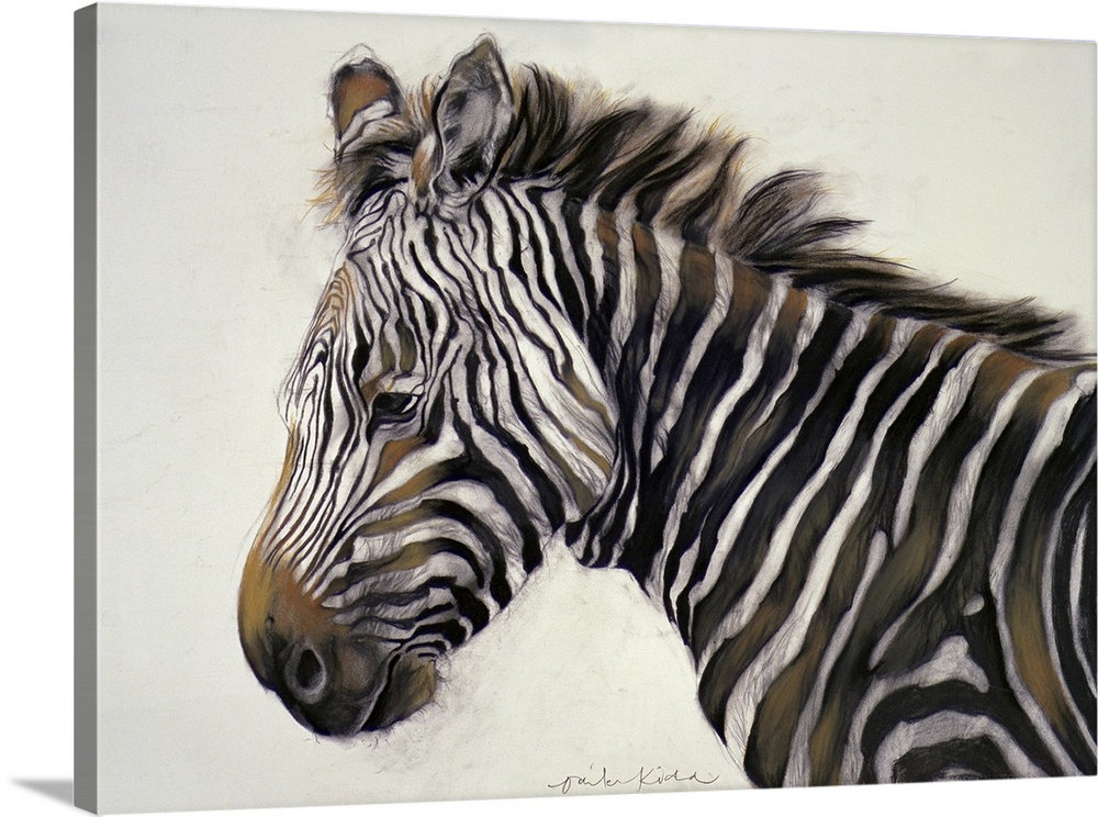 Zebra, 2002
