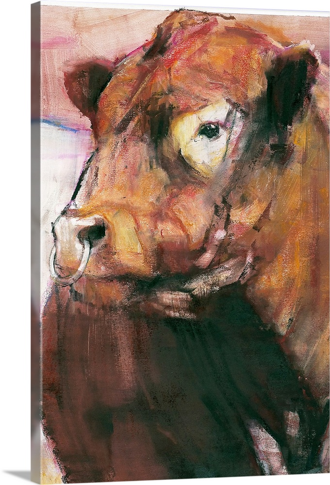 Vertical artwork on a large canvas of e red belted galloway bull with a ring through his nose.  Image has rough brushstrok...