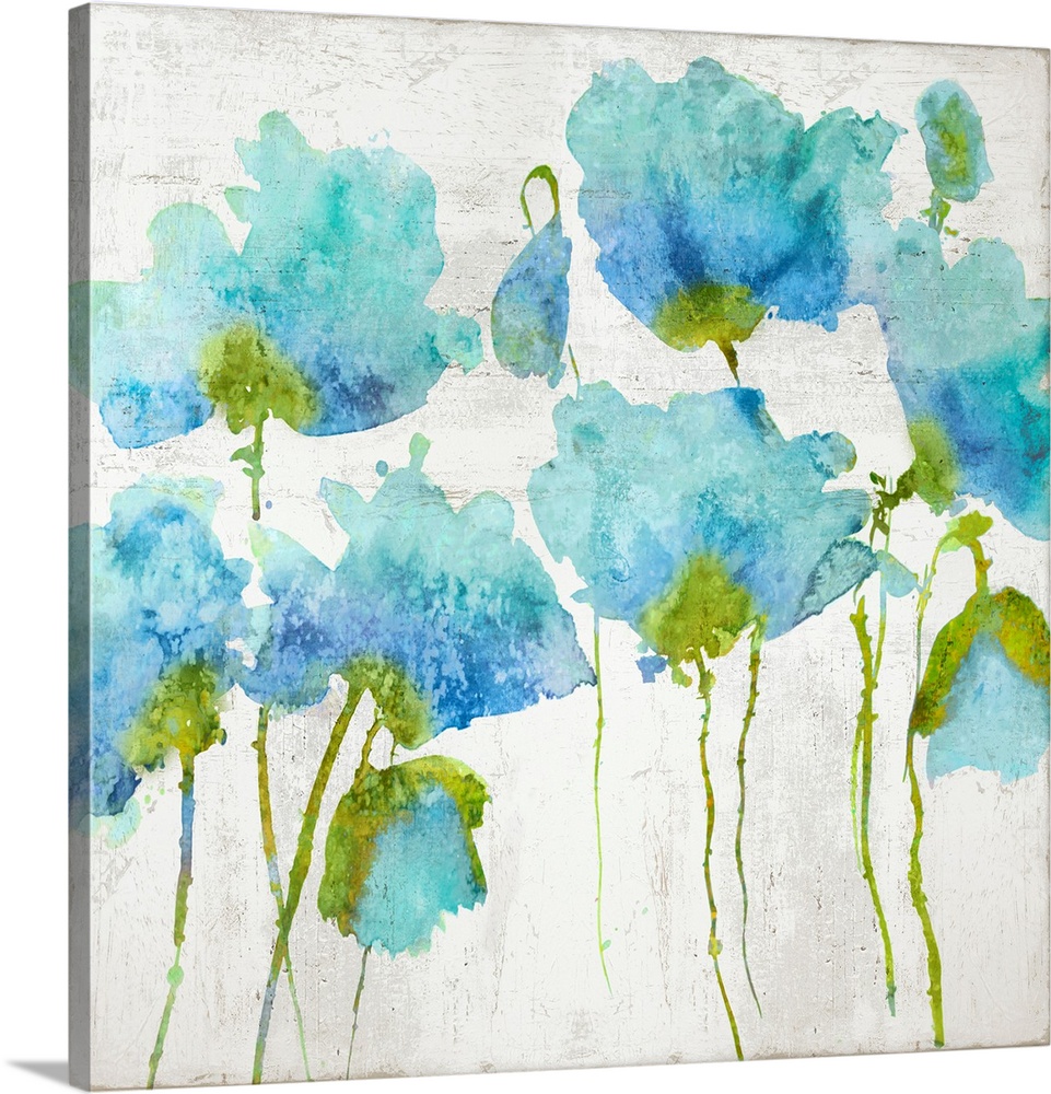 Blue watercolor poppies against a distressed white background.