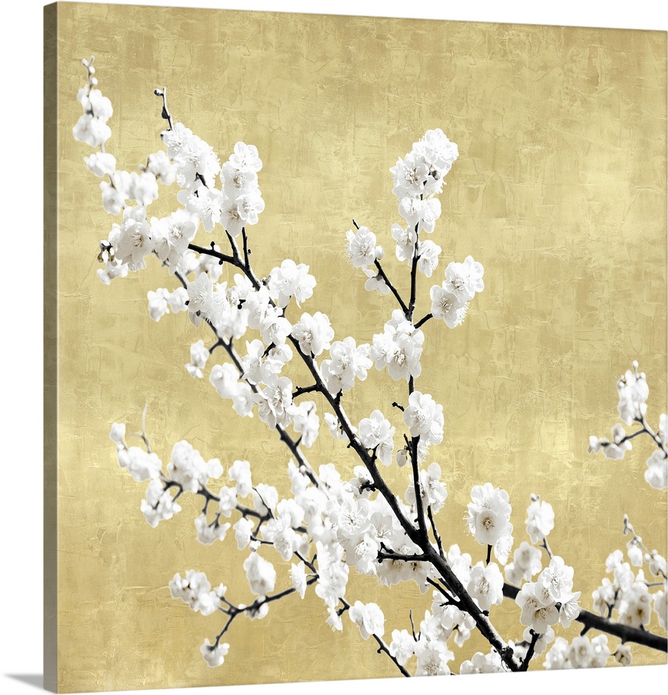 Blossoms on Gold I