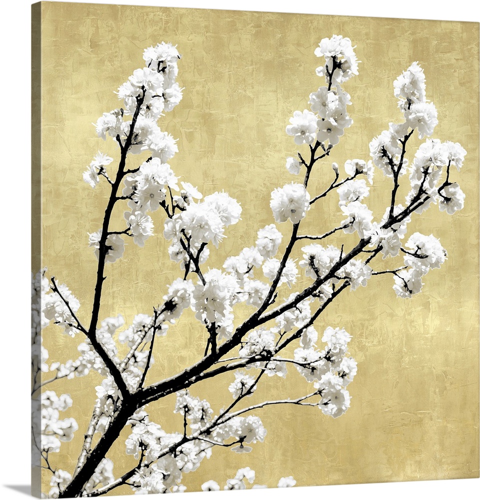 Blossoms on Gold II
