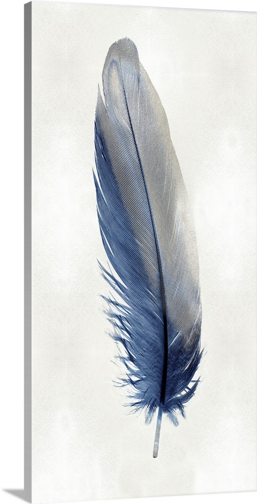 Illustration of a blue feather with metallic silver on a shiny silver background.