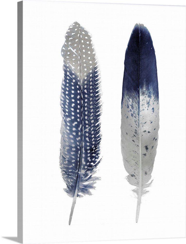 Illustration of two blue feathers with metallic silver on a shiny silver background.