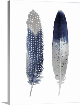 Blue Feather Pair