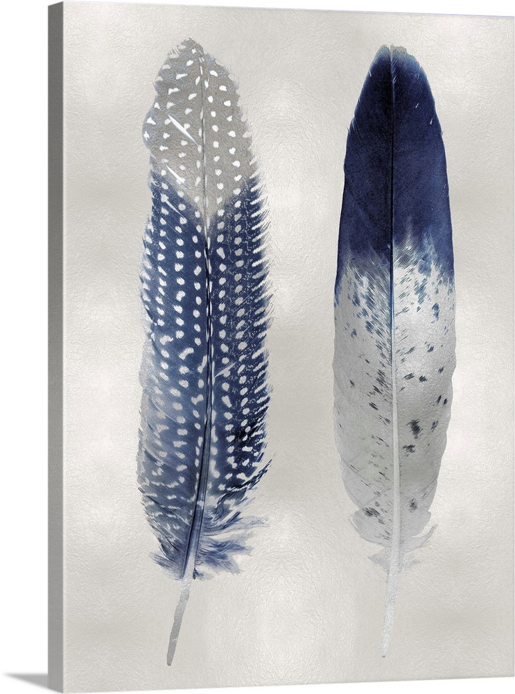Illustration of two blue feathers with metallic silver on a shiny silver background.